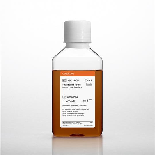 Fetal Bovine Serum - 胎牛血清（FBS）